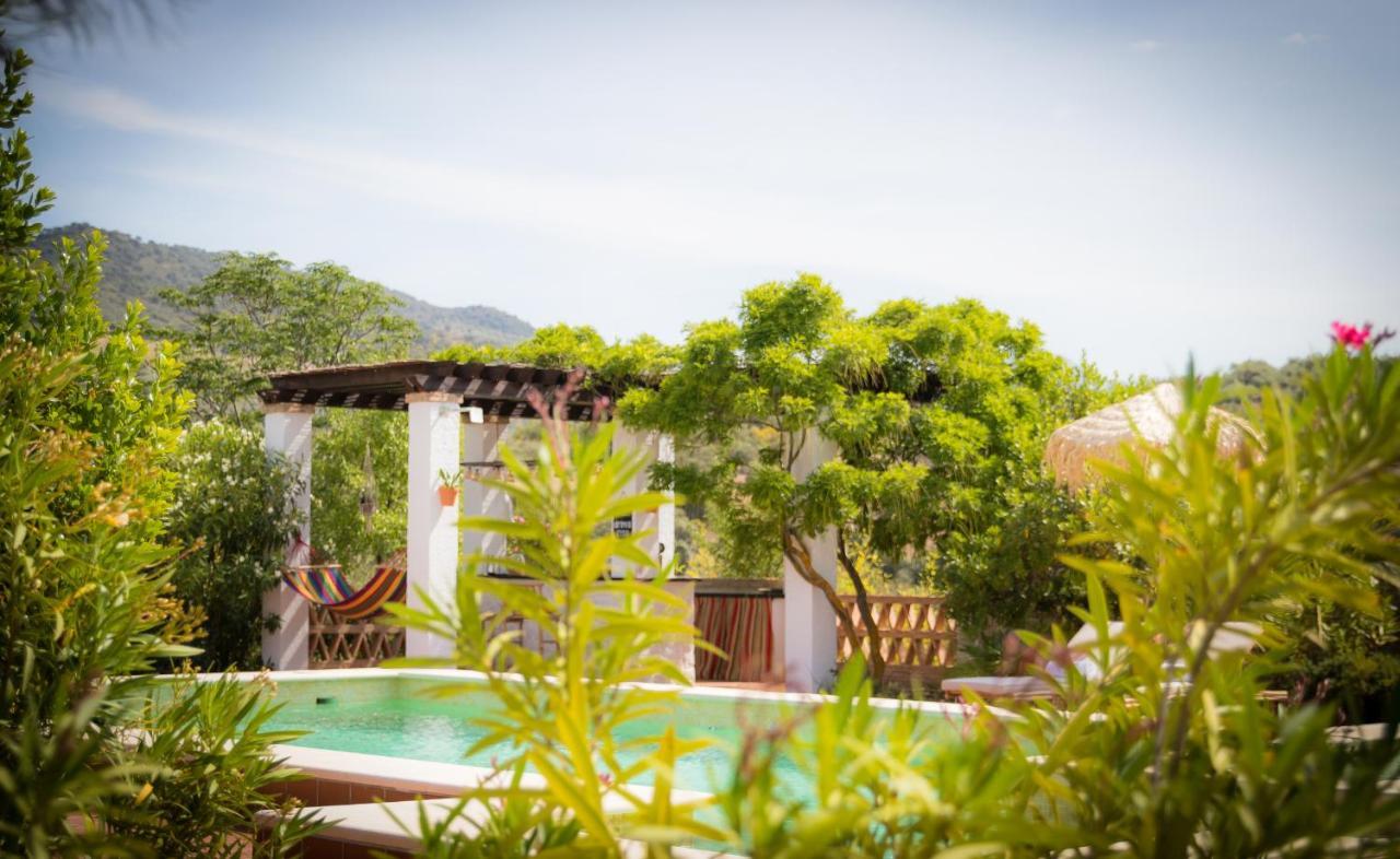 Hacienda El Tarajal Hotel Priego de Córdoba Eksteriør billede
