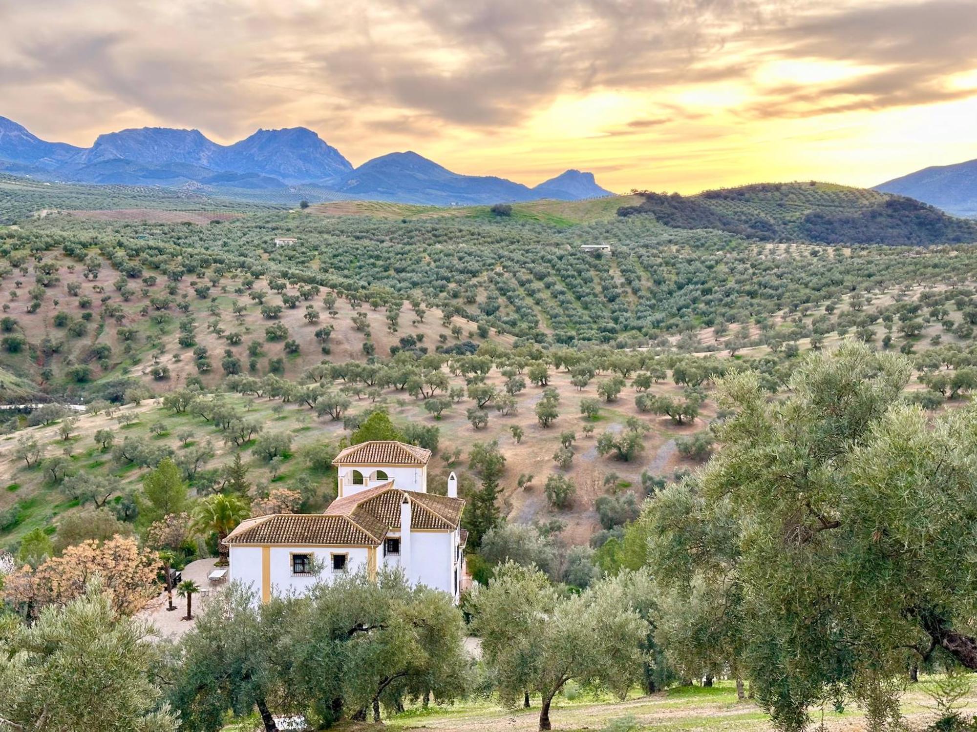 Hacienda El Tarajal Hotel Priego de Córdoba Eksteriør billede